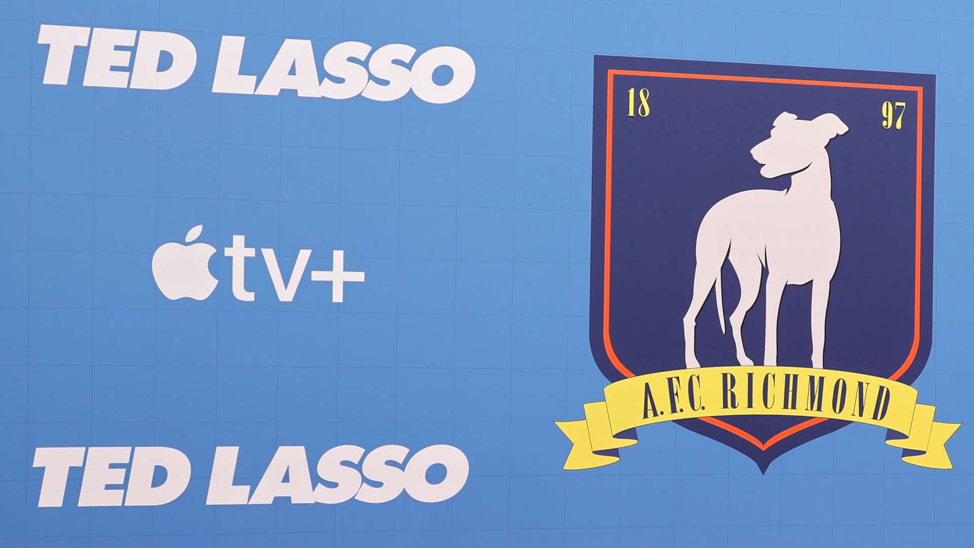 无论是手术 无论是手术